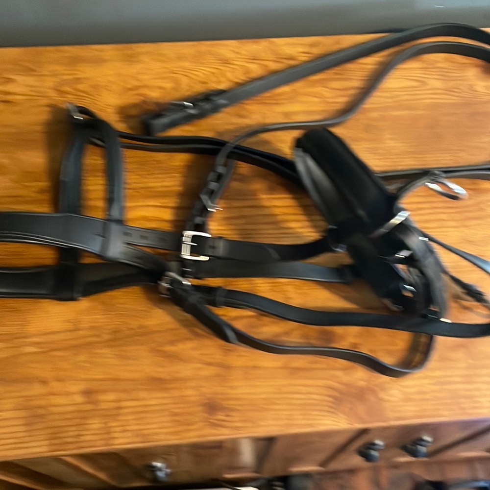 Black leather bitless bridle and reins